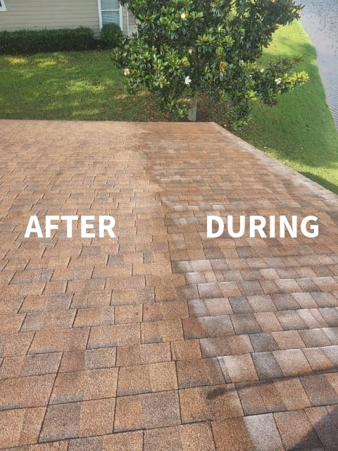 Echo Roof Revive (2)