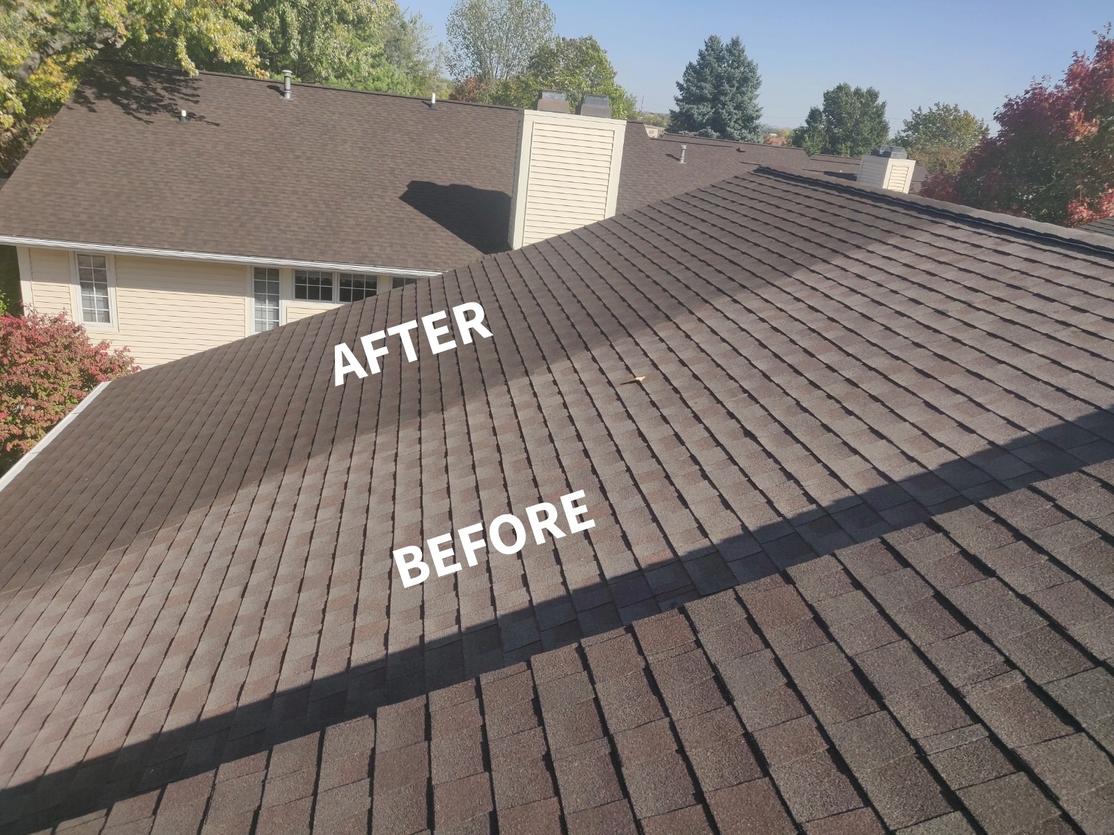 Echo Roof Revive (3)