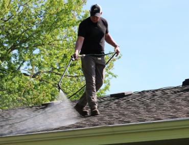 Echo Roof Revive - small (4)