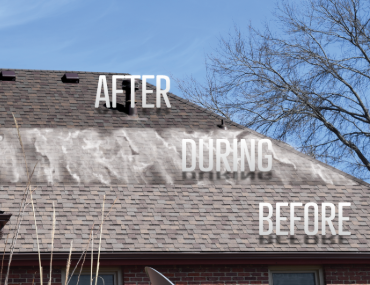 Echo Roof Revive - small (9)