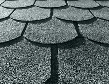 Shingle-Lock-img.webp